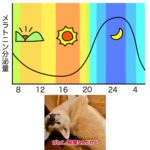 眠れない夜とさようなら！ 睡眠の質を上げるために必要な３つのポイント（第3回）具体的な改善策(1)-①睡眠ホルモン（メラトニン）の役割